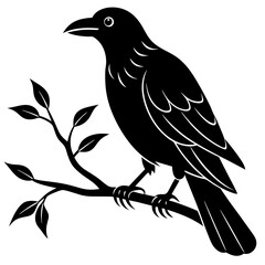 Black crow on a tree branch. Vector illustration isolated silhouette with white Background.
