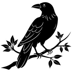 Black crow on a tree branch. Vector illustration isolated silhouette with white Background.