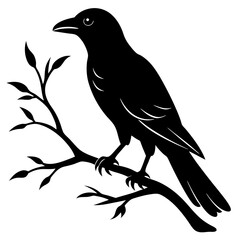 Black crow on a tree branch. Vector illustration isolated silhouette with white Background.
