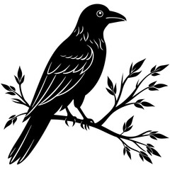 Black crow on a tree branch. Vector illustration isolated silhouette with white Background.