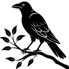 Black crow on a tree branch. Vector illustration isolated silhouette with white Background.