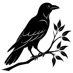 Black crow on a tree branch. Vector illustration isolated silhouette with white Background.
