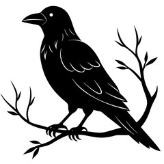 Black crow on a tree branch. Vector illustration isolated silhouette with white Background.