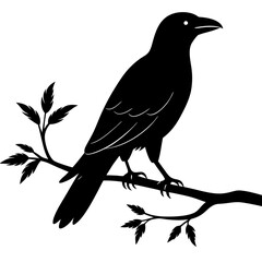 Black crow on a tree branch. Vector illustration isolated silhouette with white Background.