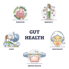Gut health benefits and medical effect from healthy flora outline collection set, transparent background. Labeled educational examples with digestion system impact to immunity, sleep.