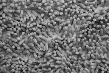 Processed image of fluffy gray doormat from bathroom in grey color