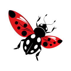 Fototapeta premium a black and white picture of a ladybug with dots on it