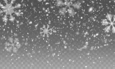 Falling snowflakes in transparent beauty, delicate and small, isolated on a clear background. Snowflake elements, snowy backdrop. Vector illustration of intense snowfall, snowflakes.