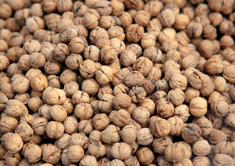 Pile of walnuts background