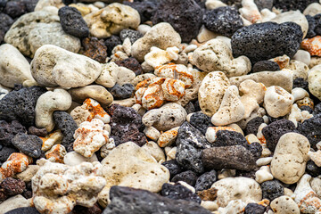 lava stone and corals on the beach, Magic sands beach park