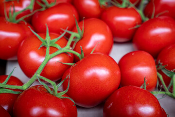 organic tomato closeup vegetable background Top view