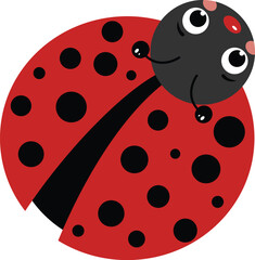 Little ladybug isolated on white