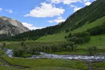 landscape with stream, alpine forest and blue sky