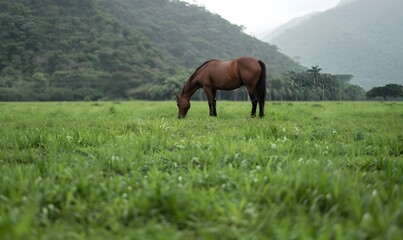 Naklejka premium Horse grazing peacefully in lush green field, Generative AI