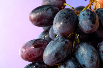 Dark blue grapes close up. Fruit background