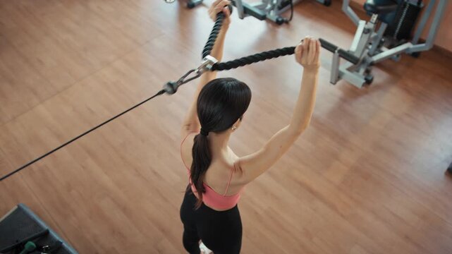 The Work Of A Triceps Machine, Overhead 