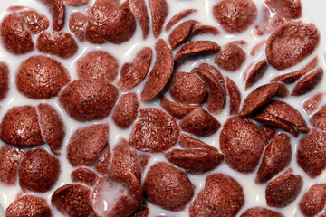 Cereal chocolate flavor and milk in a glass bowl with a white background
