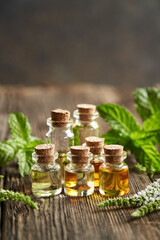 Several glass bottles of aromatherapy essential oil with fresh peppermint leaves, with copy space