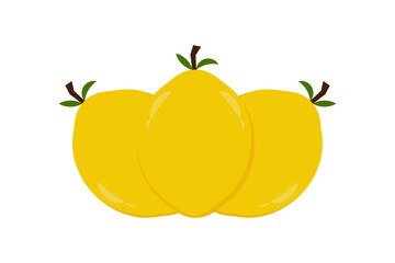 Lemon fruit icon vector illustration. Illustration Lemon isolated on white backgrounds
