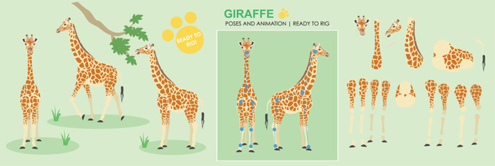 Cute Giraffe animal character ready for animation vector rig ready cartoon character with multiple poses and angles, eating walking safari animal, zoo, wild animals. 