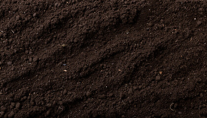 Closeup of dark brown fertile soil texture