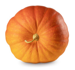 Ripe orange pumpkin with dry tail. Isolated on transparent background with soft shadow