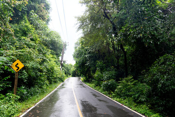 Straight path of empty asphalt road with yellow traffic line and wet from rainy. Two beside of road with green forest under the white sky. With signs of the curve ahead and electric pole.