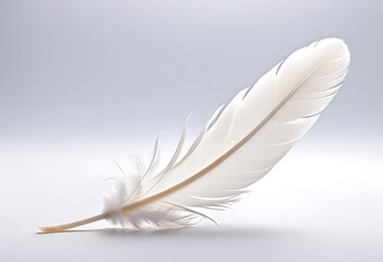 Obraz premium white feather white background high resolution high details vibrant