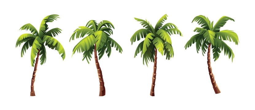 Set of coconut palm tree. Vector cartoon illustration