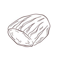 Sliced bread in line art style. Bakery product, loaf sketch. Vector illustration isolated on a white background.