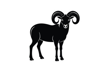  Bighorn sheep  vector artwork illustration