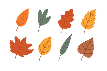 Simple leaf set. Autumn set of hand drawn cute and cozy design elements. Fall, Autumn season.