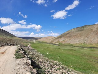 Fototapeta premium Beautiful daytime view of Deosai National Park in Gilgit-Baltistan, Pakistan. Deosai National is located between the Skardu District, Kharmang and Astore District in Gilgit-Baltistan, Pakistan.