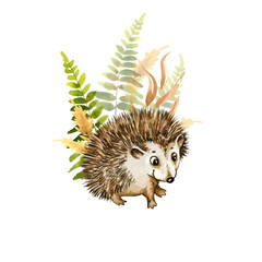 watercolor cute little animal hedgehog against forest herbs and leaves, hand drawn illustration of cartoon funny hedgehog cub and green and brown plants, forest animal on white, for children posters
