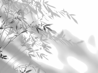 Blurred light gray shadows on a white background