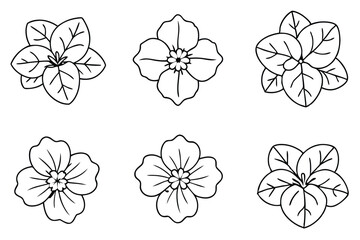 Nasturtium line art illustration Design Concepts