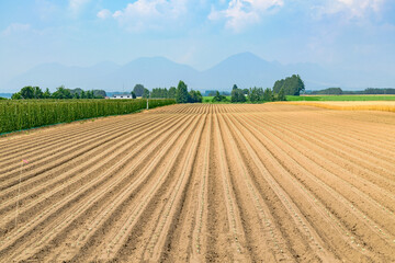 北海道 十勝の広大な農場
