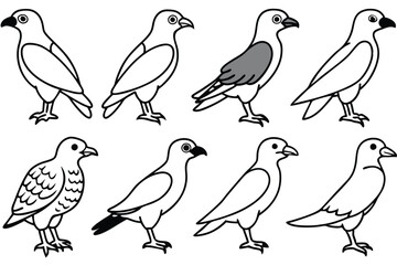 Fototapeta premium Osprey bird line art illustration
