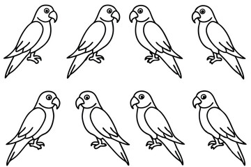 Parrot bird line art illustration