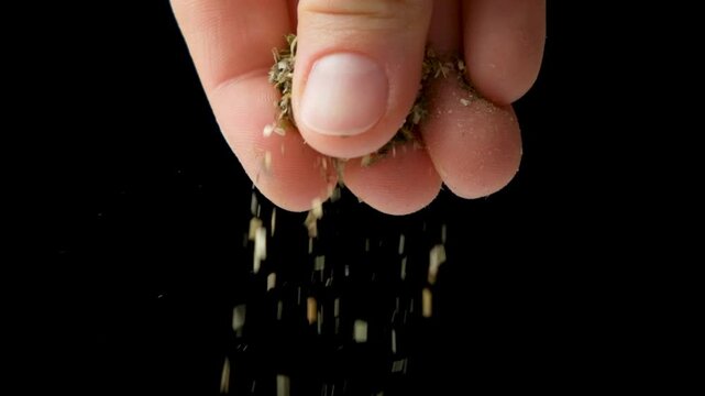 Hand sprinkling Italian herbs on black background, close-up, slow motion