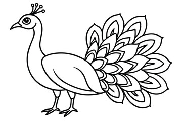 Peacock line art illustration Design Concepts