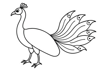 Fototapeta premium Peacock line art illustration Design Concepts