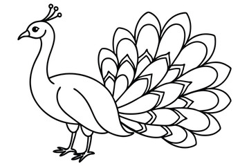Peacock line art illustration Design Concepts