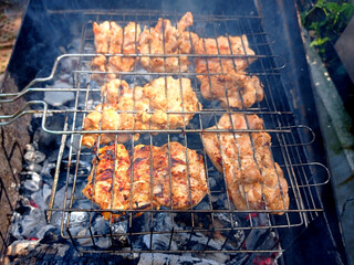 Grilled food. Street food on charcoal. Meat on skewers on the fire.