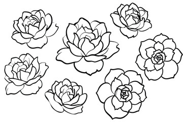 Peony line art illustration Design Concepts