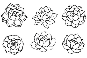 Peony line art illustration Design Concepts