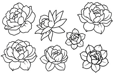 Peony line art illustration Design Concepts