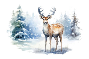 PNG Wildlife antler animal mammal.