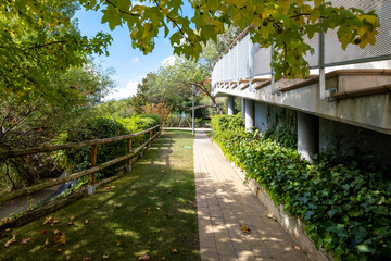 A beautiful residential path bordered by lush greenery, leading to a playground area, providing a peaceful and family-friendly environment for the community.