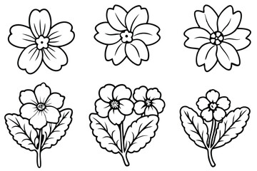 Primrose line art illustration Design Concepts